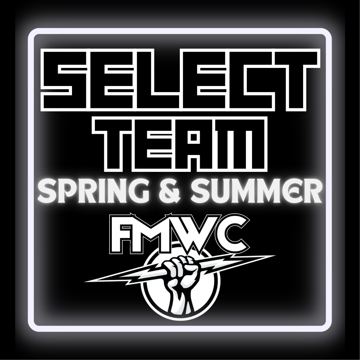 SELECT TEAM: SKILL DEVELOPMENT PROGRAM