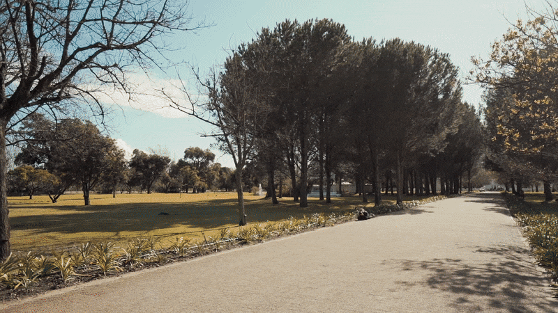 ezgif.com-gif-maker (1).gif