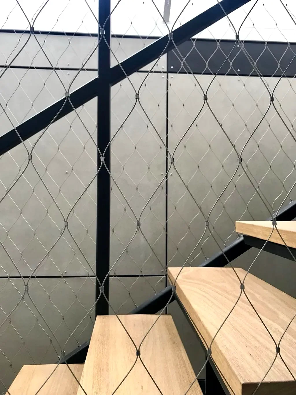 Detail of cable balustrade netting against oak stair treads and board-formed concrete wall, Marrickville renovation