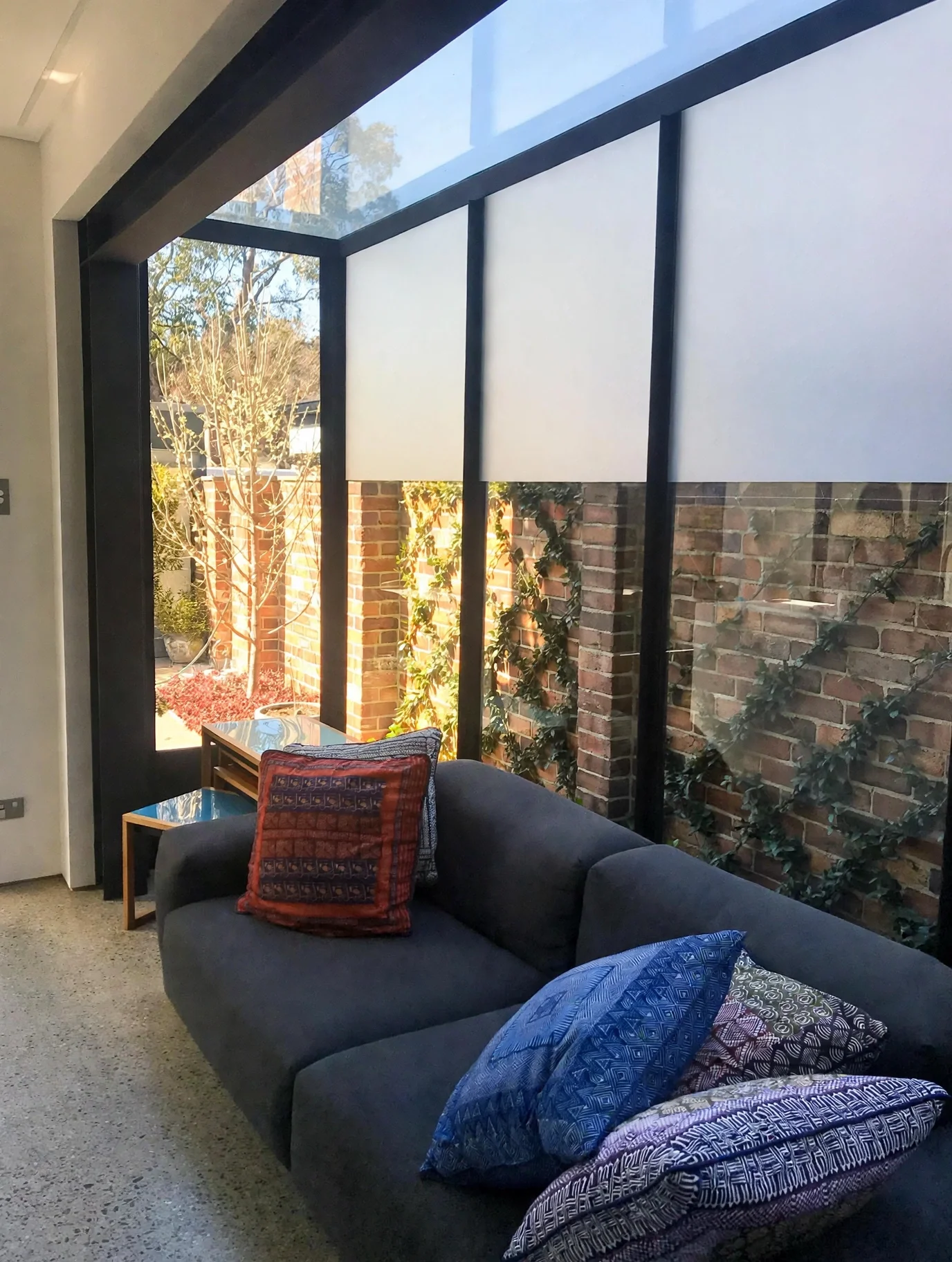 Rear glass box addition opening to courtyard garden, Erskineville terrace extension