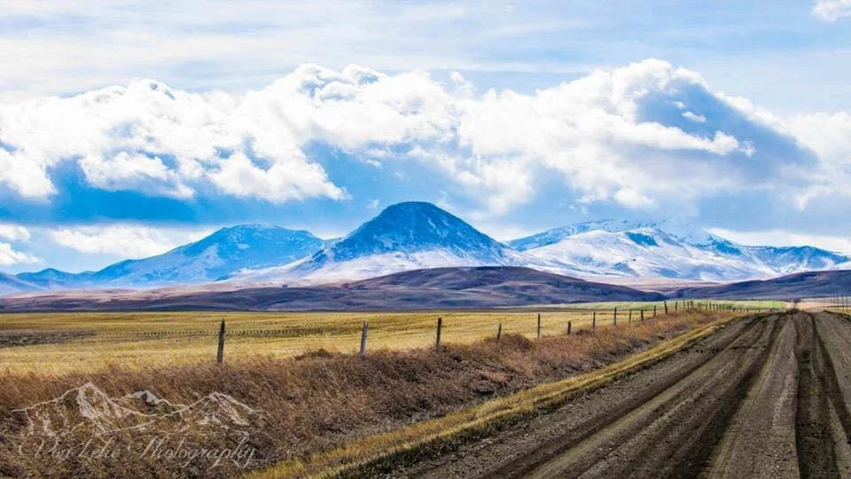 About Shelby — Shelby Area Chamber of Commerce