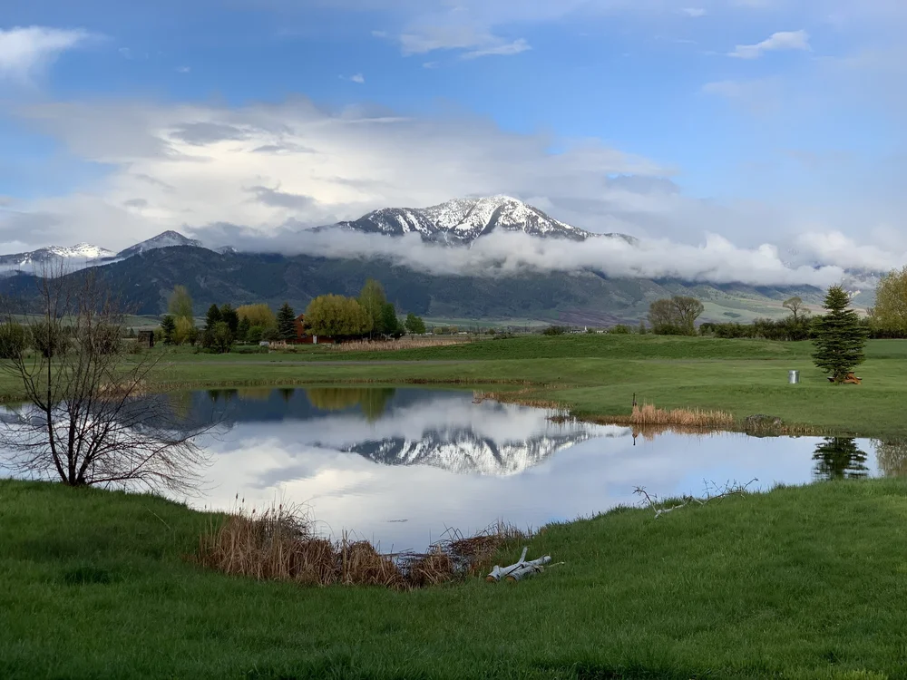 Swan Valley Real Estate