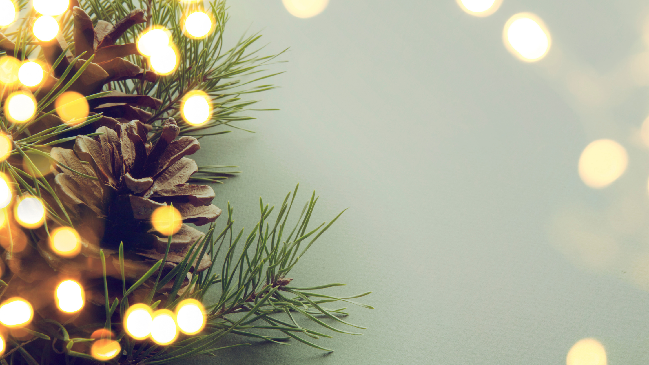 Festive Season & FBT
