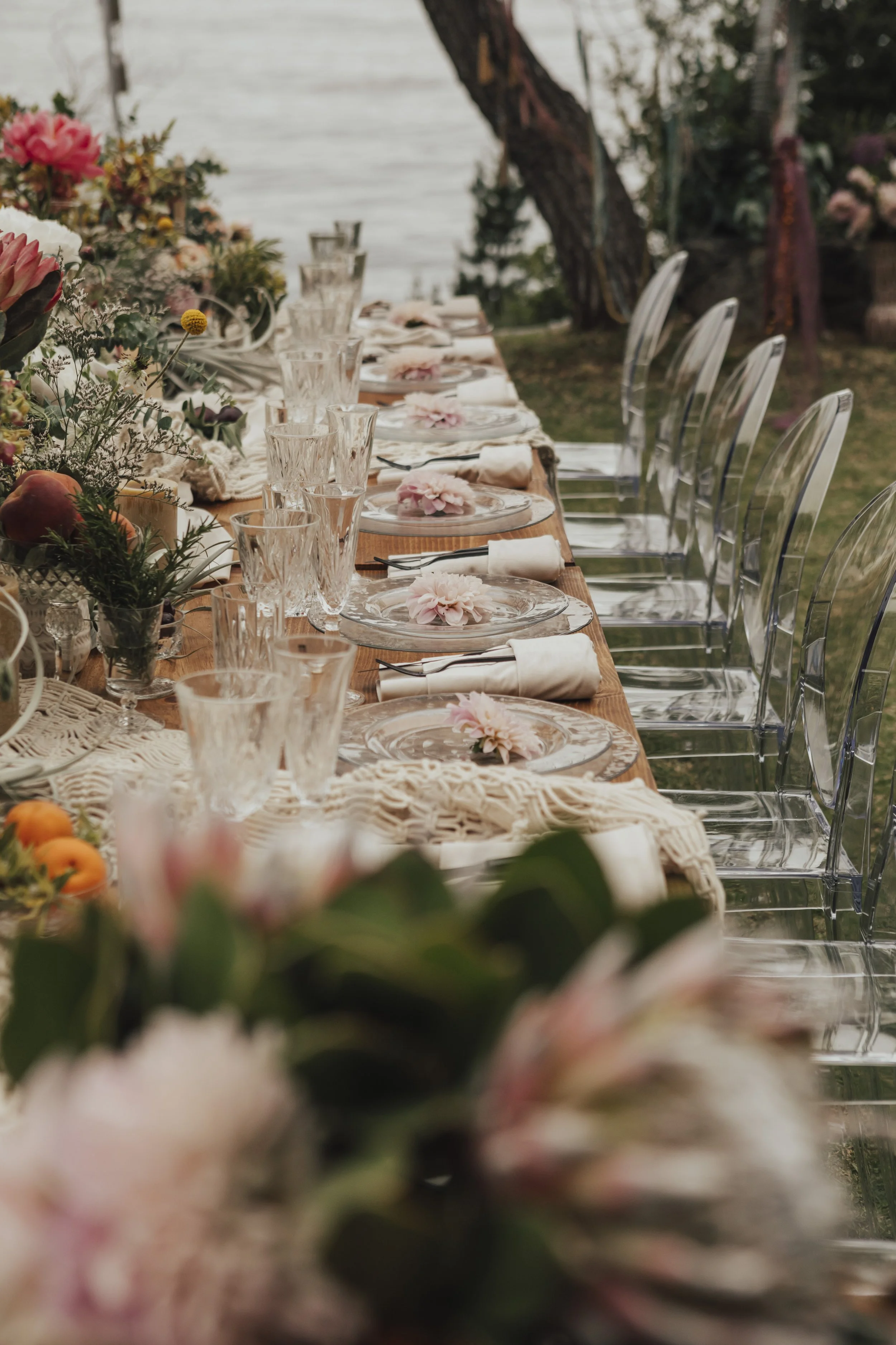 Y+D_0631_5Z5A1070_byCarolOliva .jpg