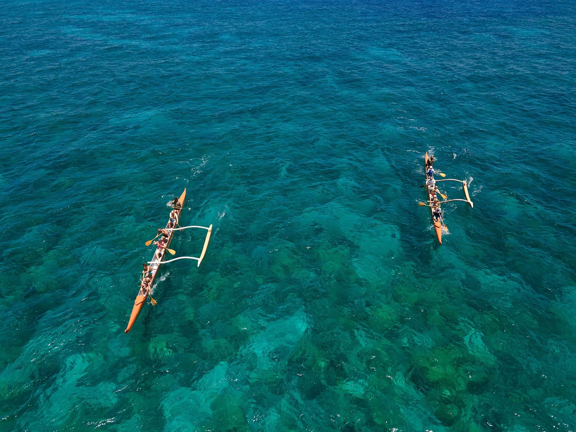 Hawaii-konavillage-wedding-Photographer__DJI_0238_byCarolOliva_WEB.jpg
