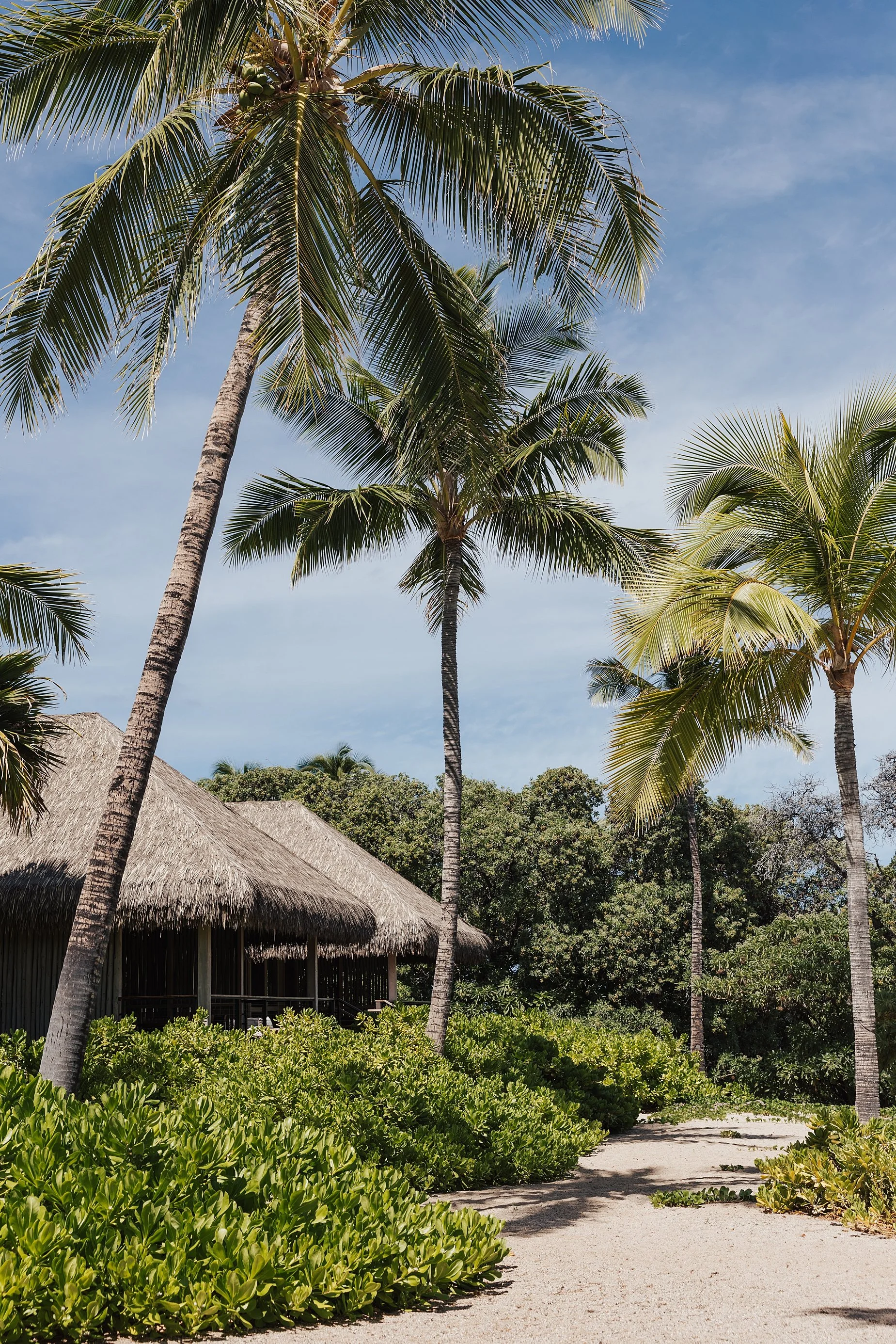 Hawaii-konavillage-wedding-Photographer__B+K_4290_CO5_9615_byCarolOliva_WEB.jpg
