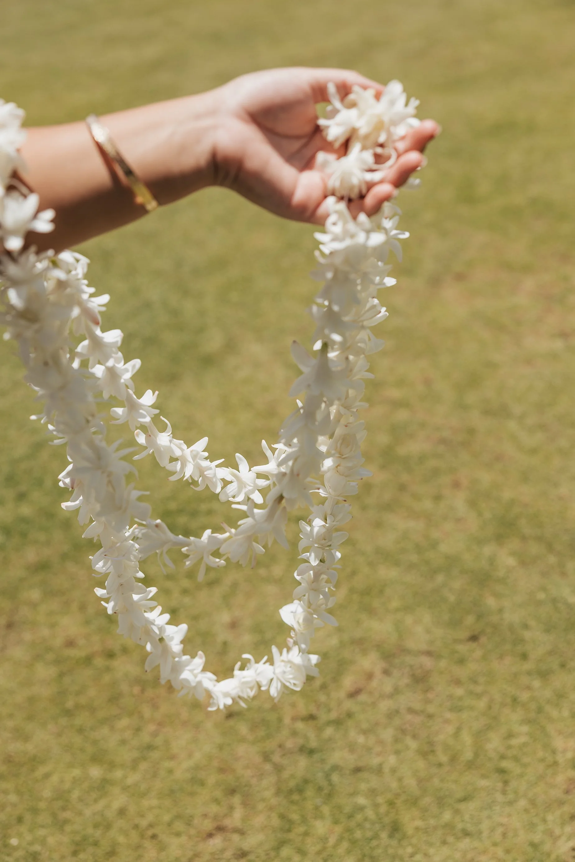 Hawaii-konavillage-wedding-Photographer__B+K_4475_CO5_0005 (1)_byCarolOliva_WEB.jpg