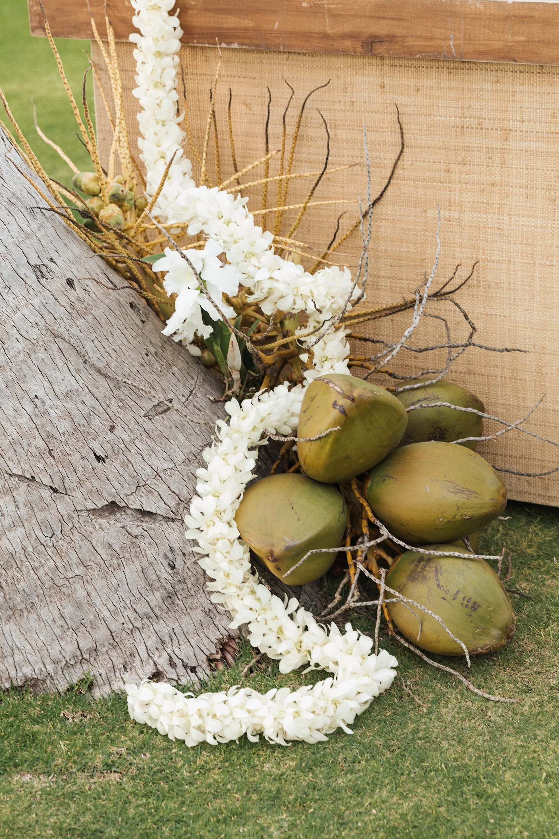 Hawaii-konavillage-wedding-Photographer__B+K2225_CO5_4881_byCarolOliva_WEB.jpg