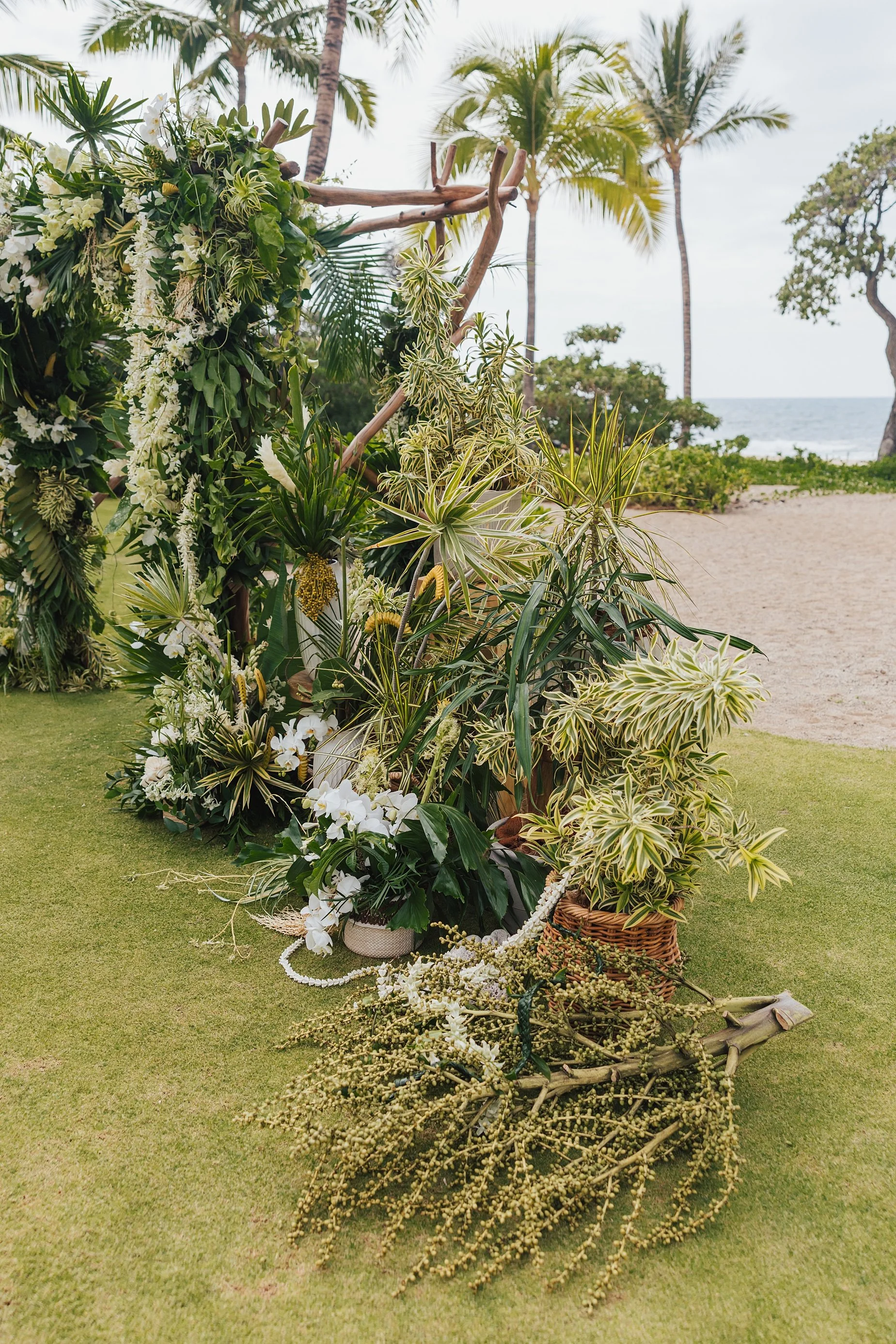 Hawaii-konavillage-wedding-Photographer__B+K1025_CO5_3050_byCarolOliva_WEB.jpg