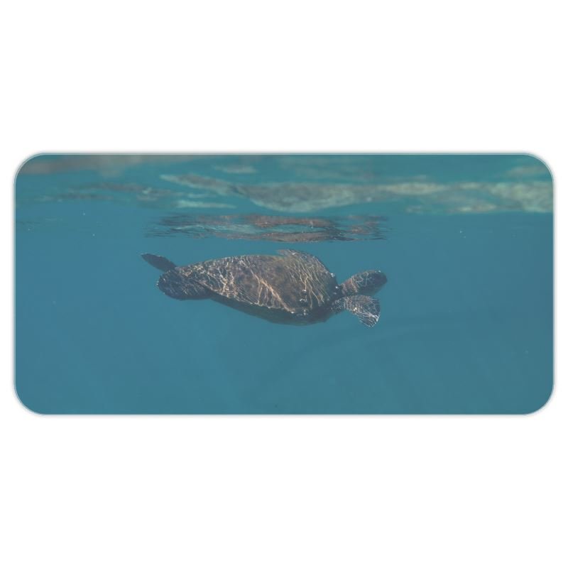 9_Honu .jpeg