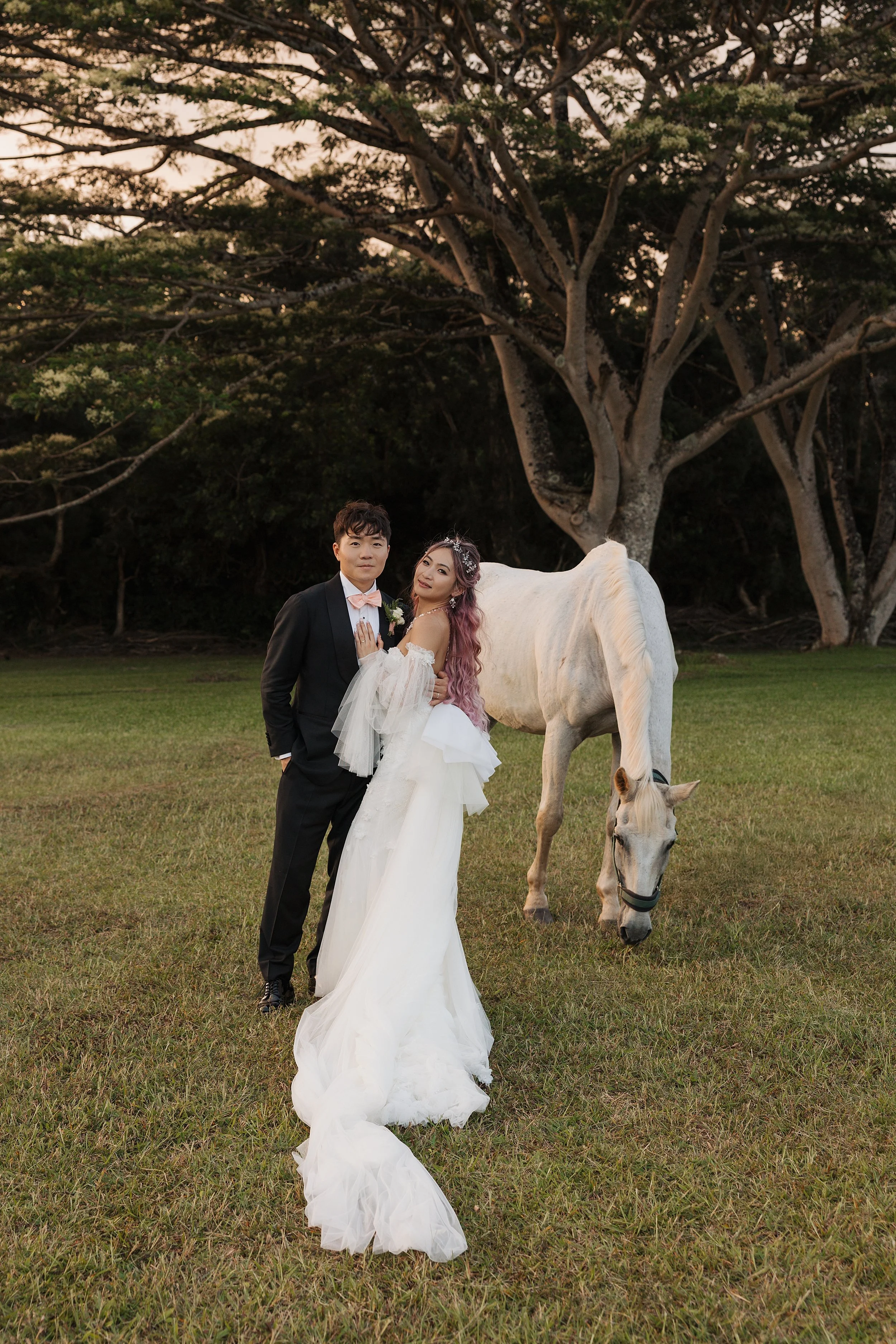     Romantic newlywed portraits with white horse captured at Sunset Ranch in Hawaii