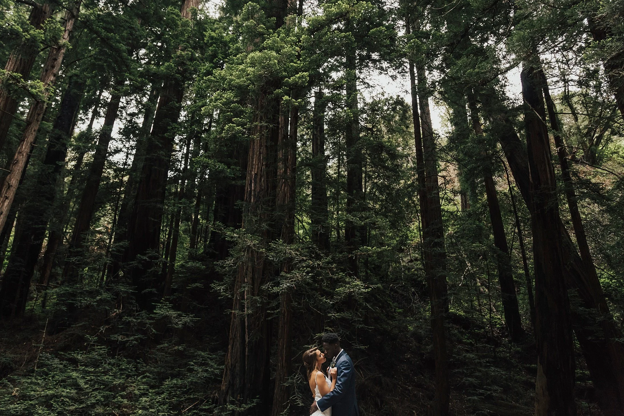     Bride and groom standing among towering redwood trees during Big Sur wedding session