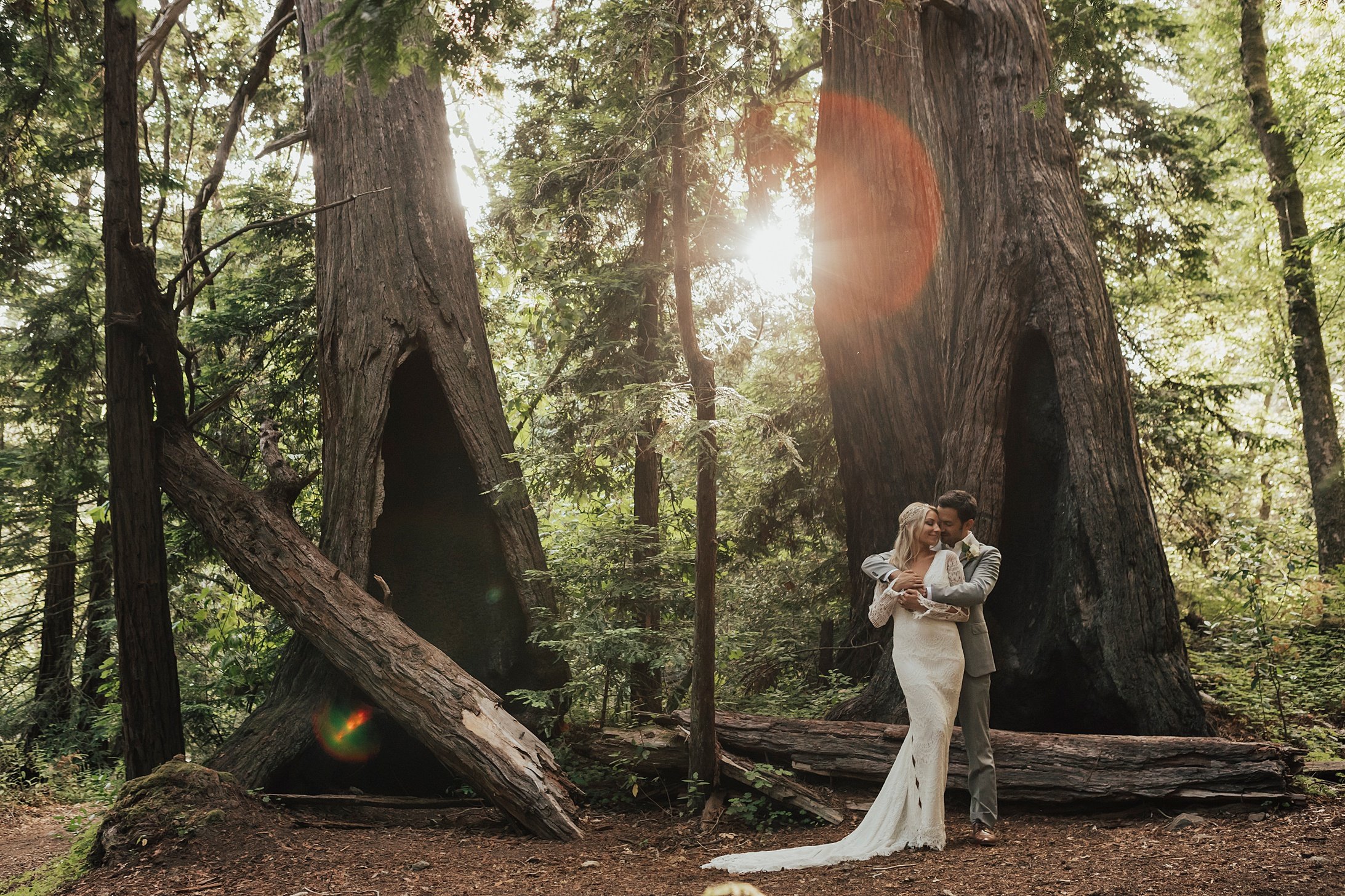     Cinematic forest wedding portraits with soft natural light and editorial storytelling at Big Sur California 