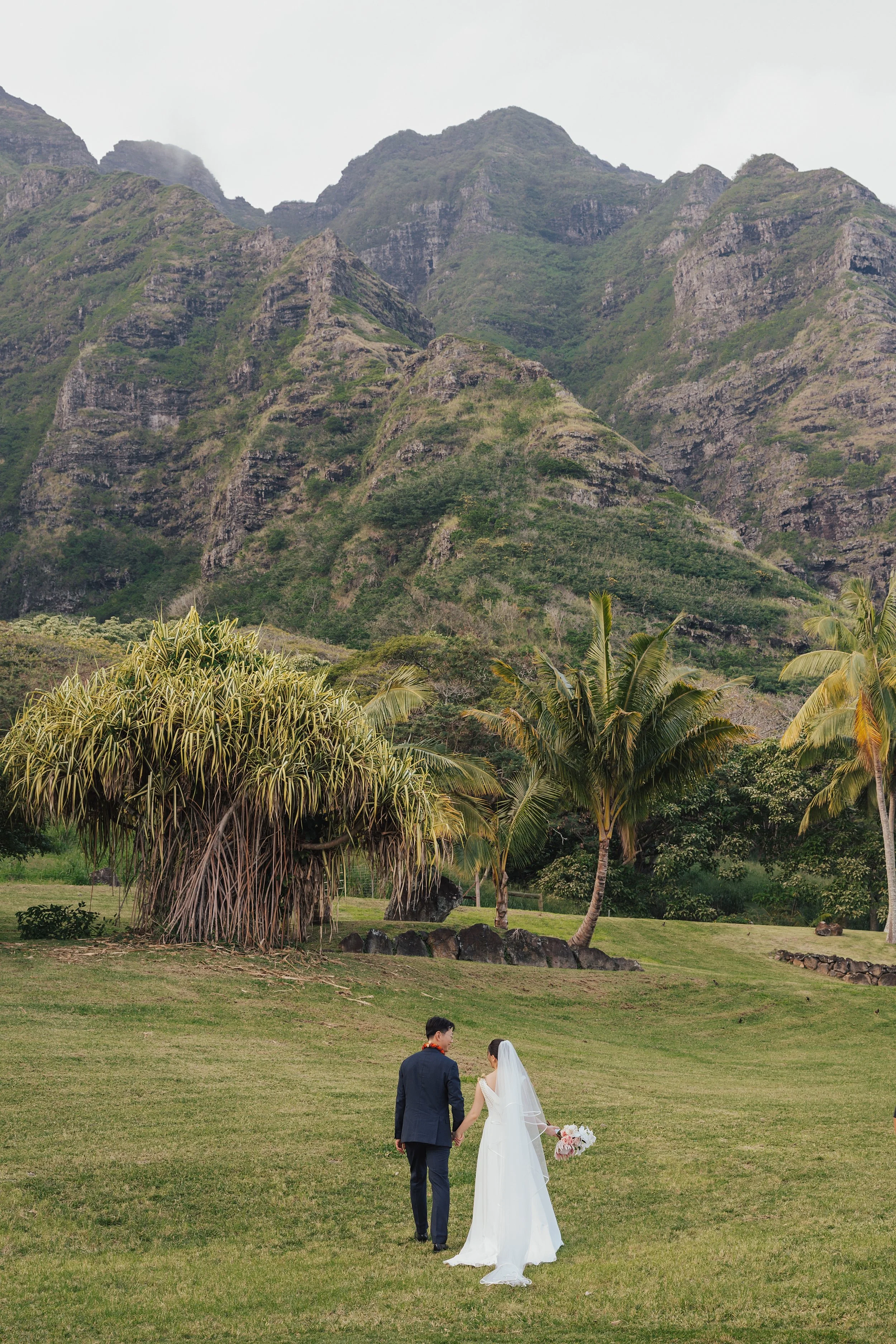     Romantic wedding ceremony in Hawaii surrounded by lush mountains and tropical scenery at Kualoa Ranch 