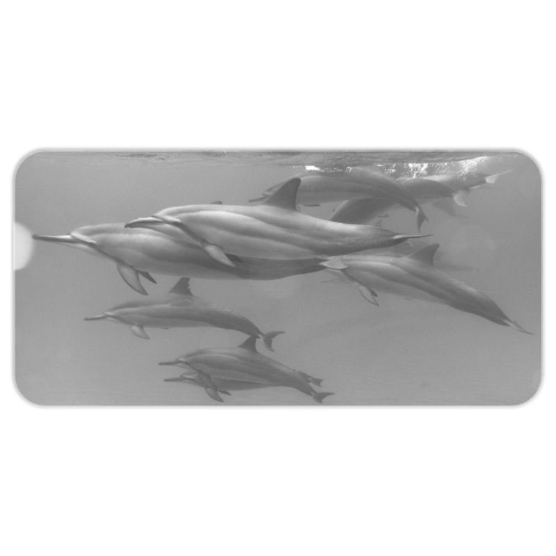 Dolphin Black and White .jpeg