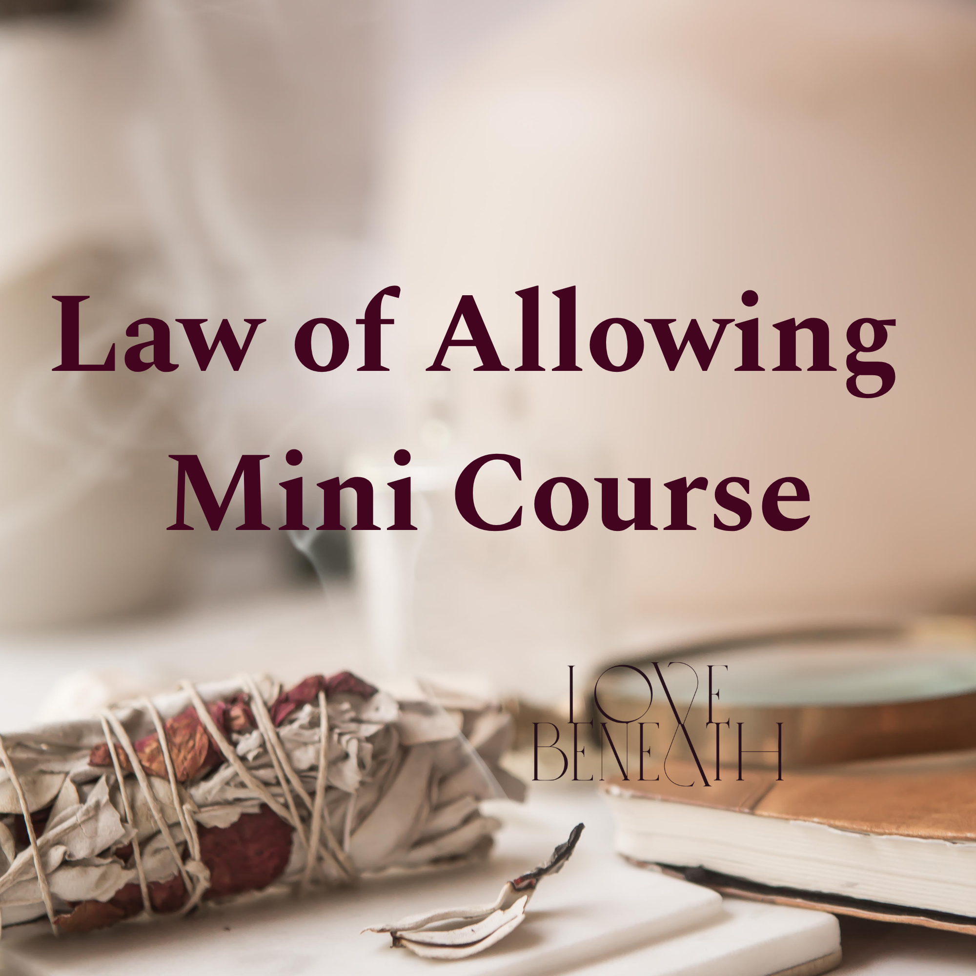 Law of Allowing Mini Course (2000 x 2000 px) (2).png