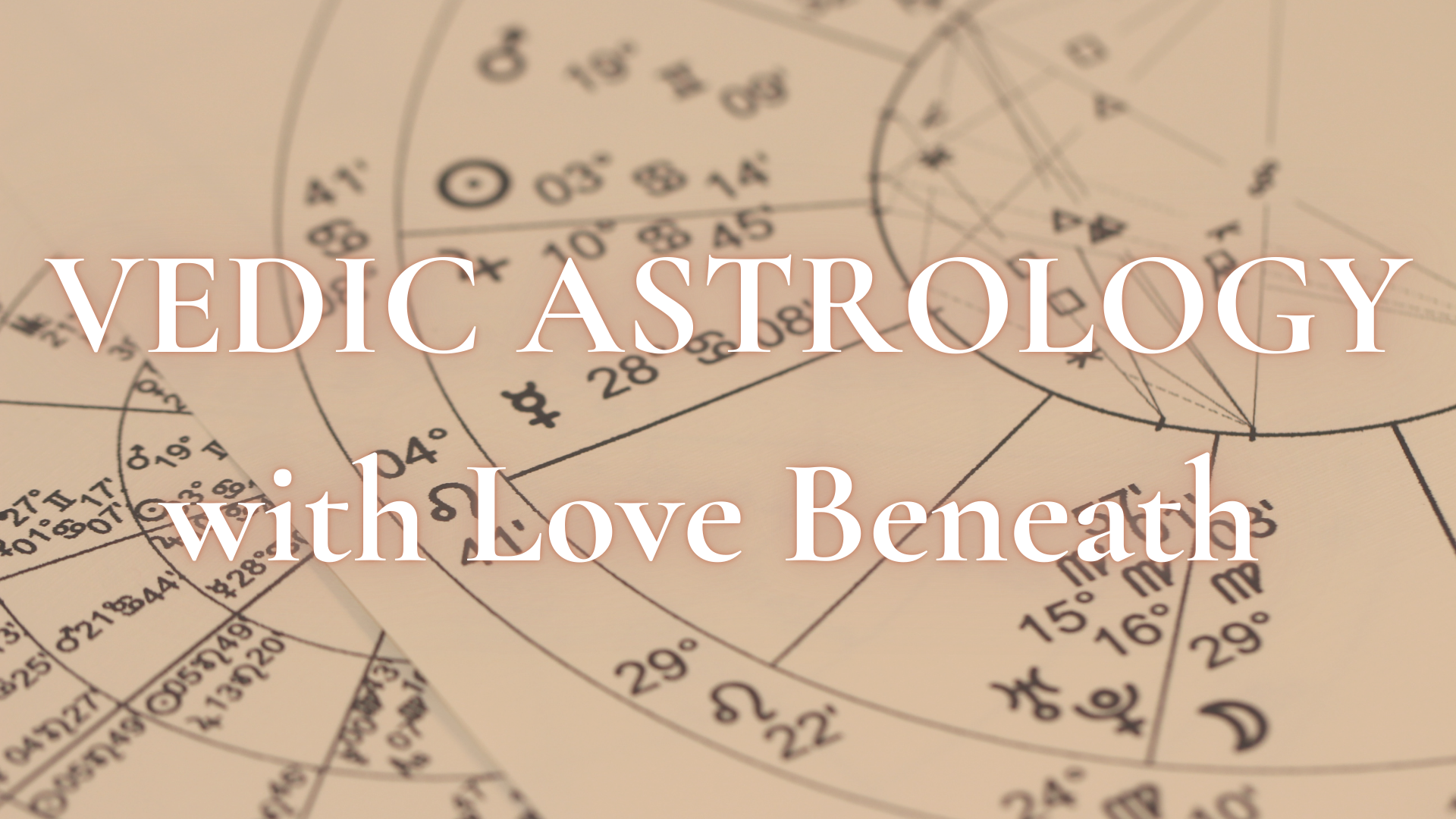 Light Leader New (4).png