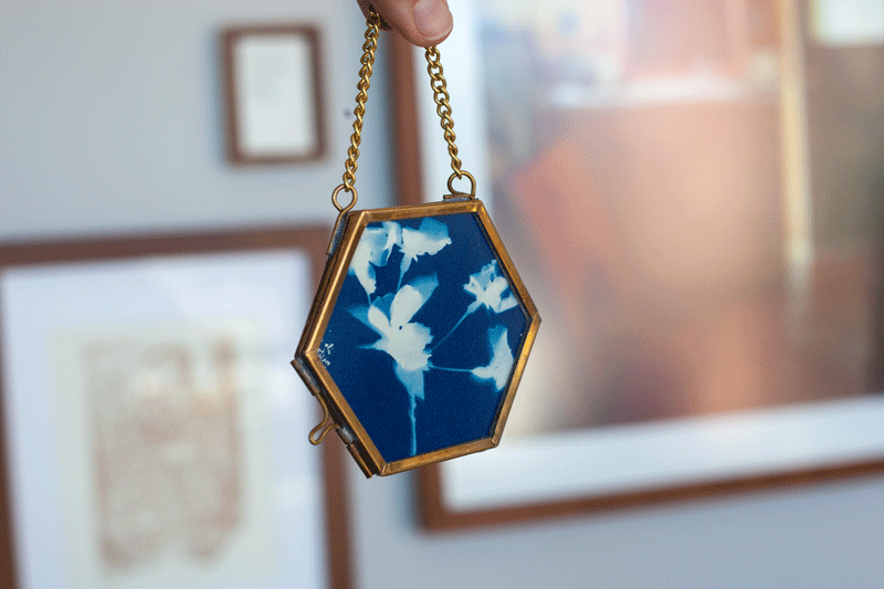 Cyanotype Mini Prints shown at But Also Washington DC