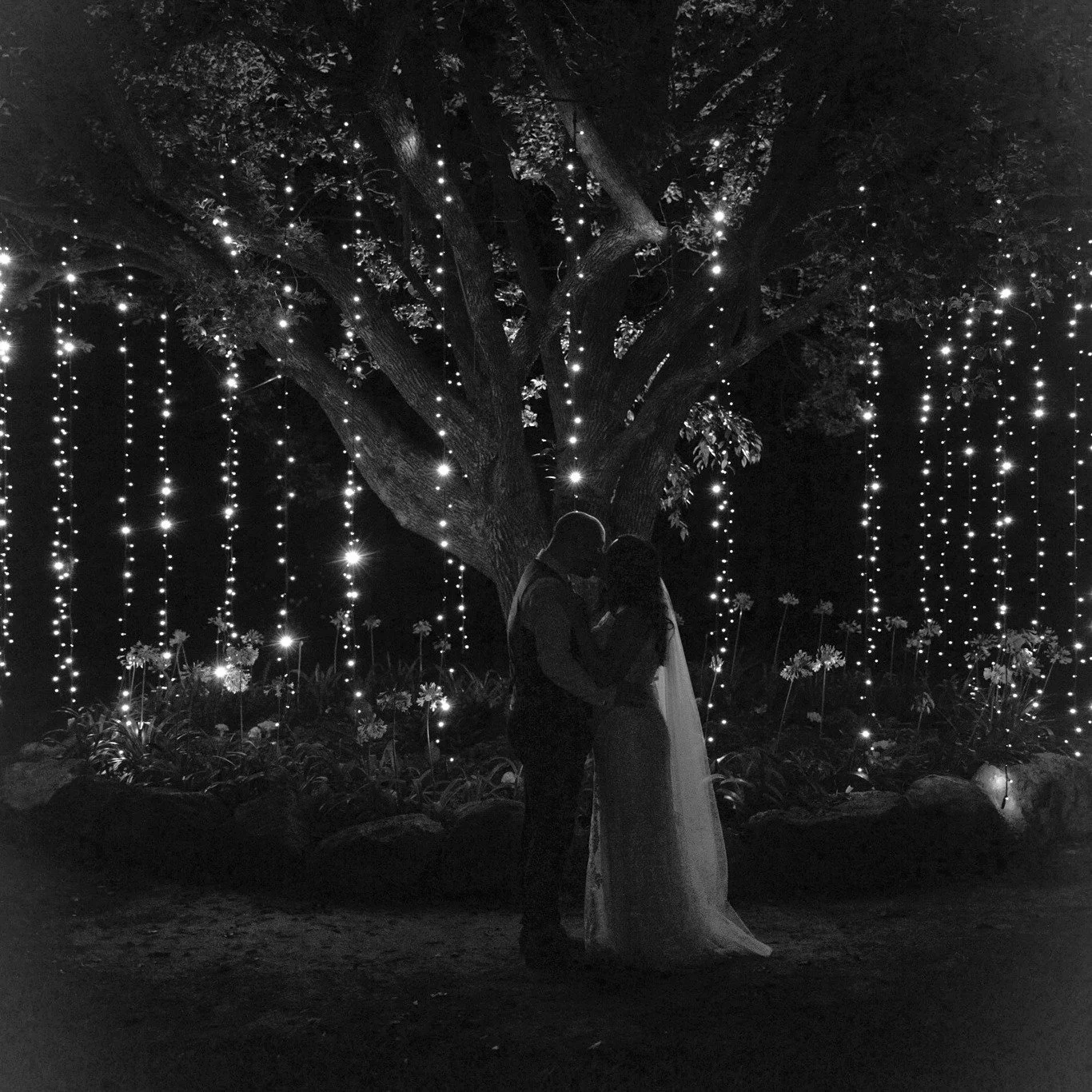 Barbara &amp; Hayden &mdash; November Wedding Magic ✨🤍

What an incredible day celebrating Barbara &amp; Hayden here at In The Grove. From their laughter-filled walk back down the aisle to the romantic night-time glow under the fairy lights, every m