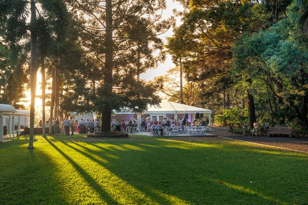 “Guests enjoying sunset canapés and drinks on the lawn beside the marquee at In The Grove wedding venue in Bundaberg, surrounded by tall trees and golden afternoon light.”