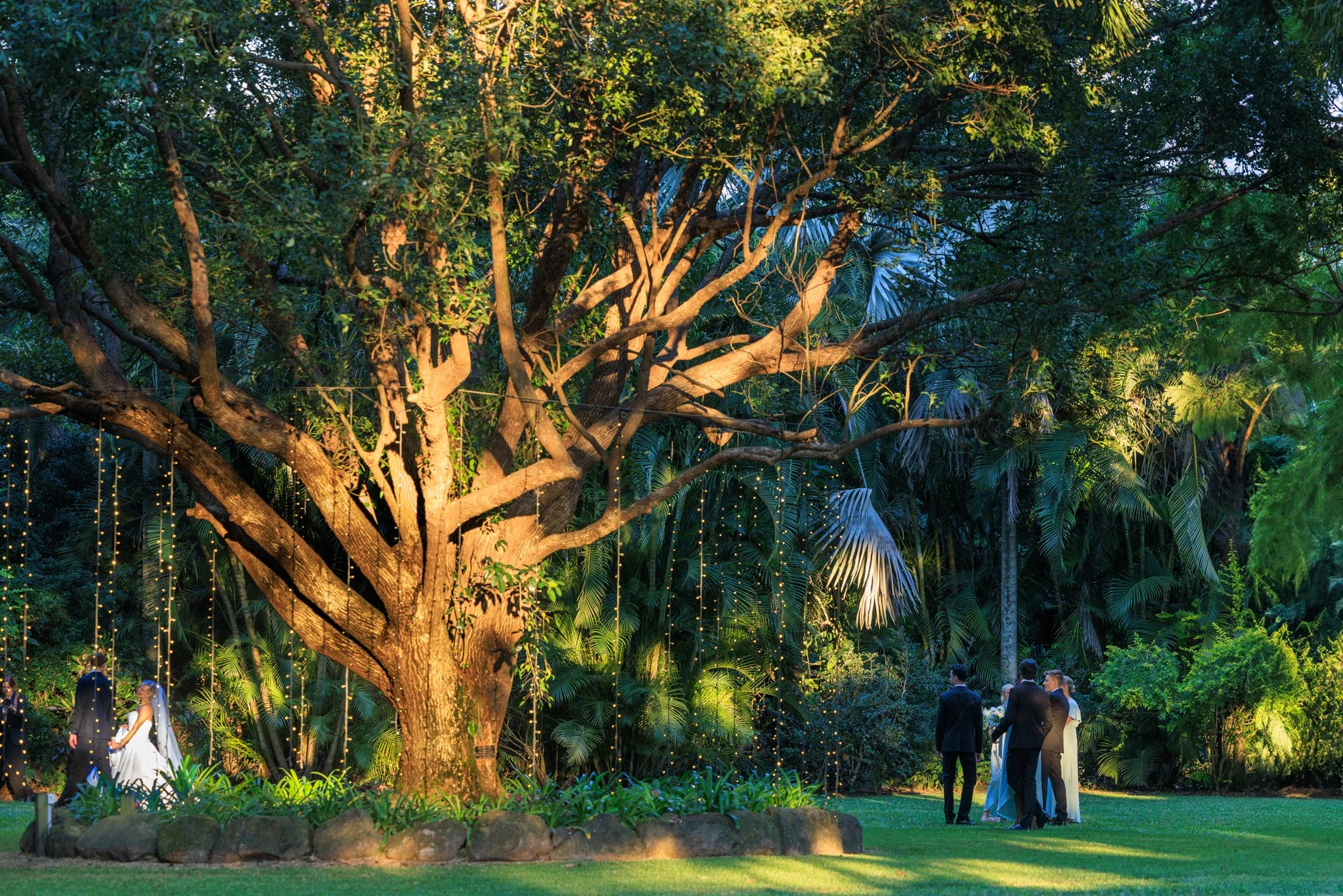 Wedding couple beneath the illuminated Kissing Tree at In The Grove garden wedding venue