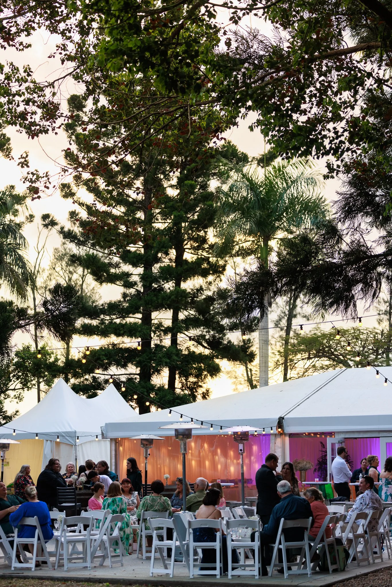 Guests enjoying a relaxed outdoor wedding reception beside a marquee during a Queensland summer wedding