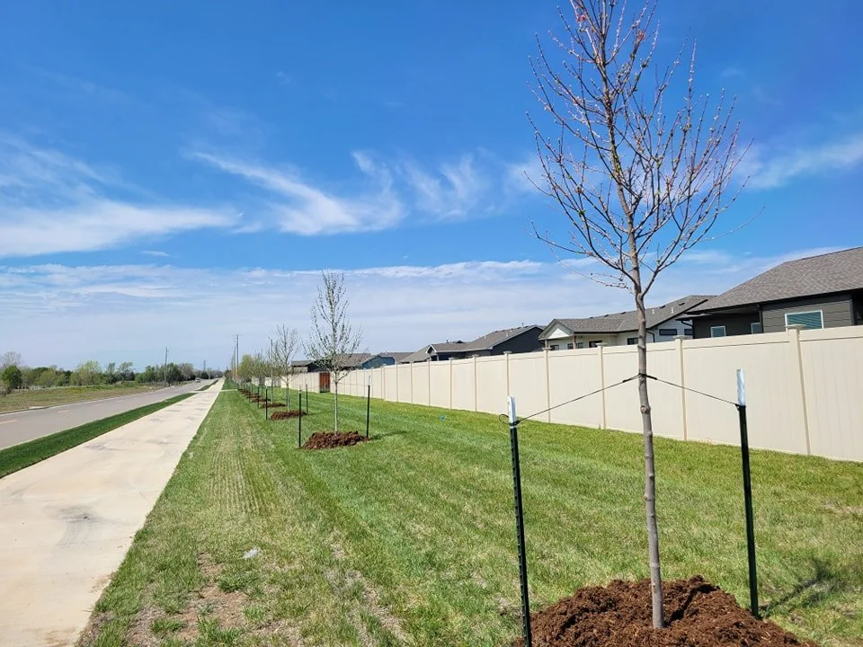 Ten maples in the ground to help make Andover even more beautiful.