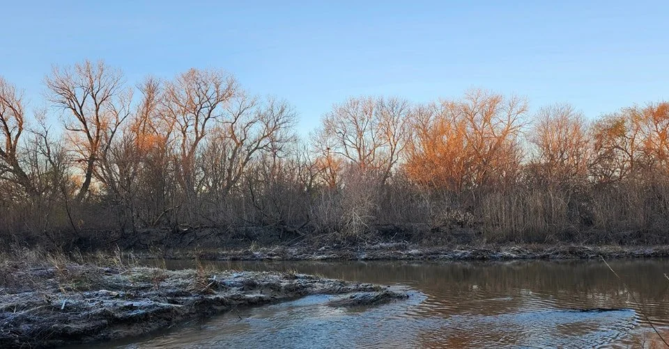 Grateful for quiet early morning nature walks. And especially thankful for another great year of wonderful customers. I can't tell you all just how much I enjoy making your outdoor spaces beautiful. Happy Thanksgiving. - Lindsay

#happythanksgiving #