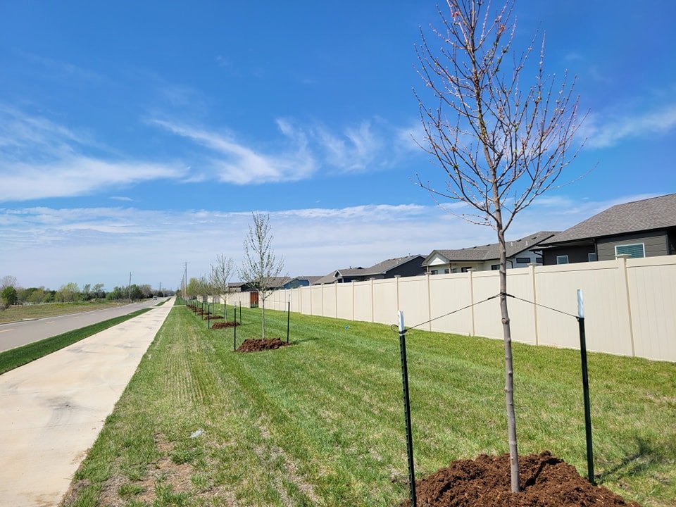 Ten maples in the ground to help make Andover even more beautiful.