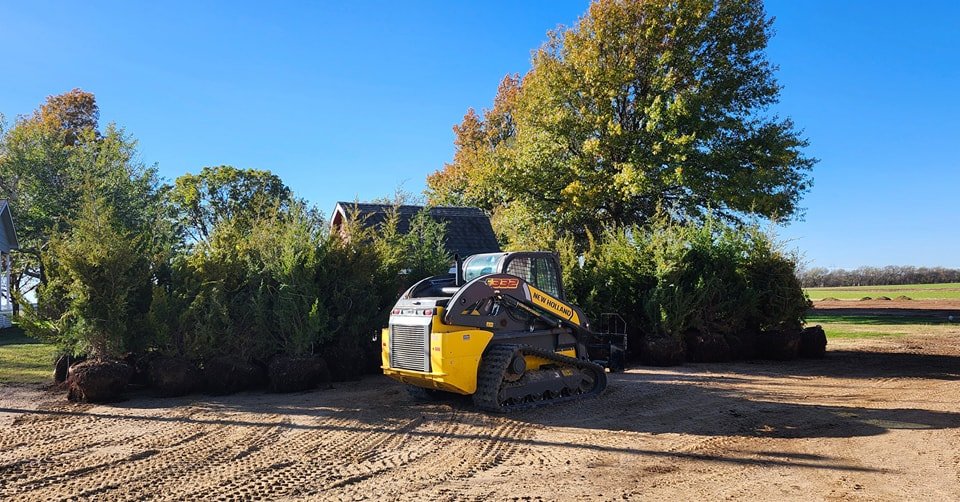 We're planting these 38 trees tomorrow! I love it when customers go for taller ones like these 8-9' cedars! It'll instantly change their space.