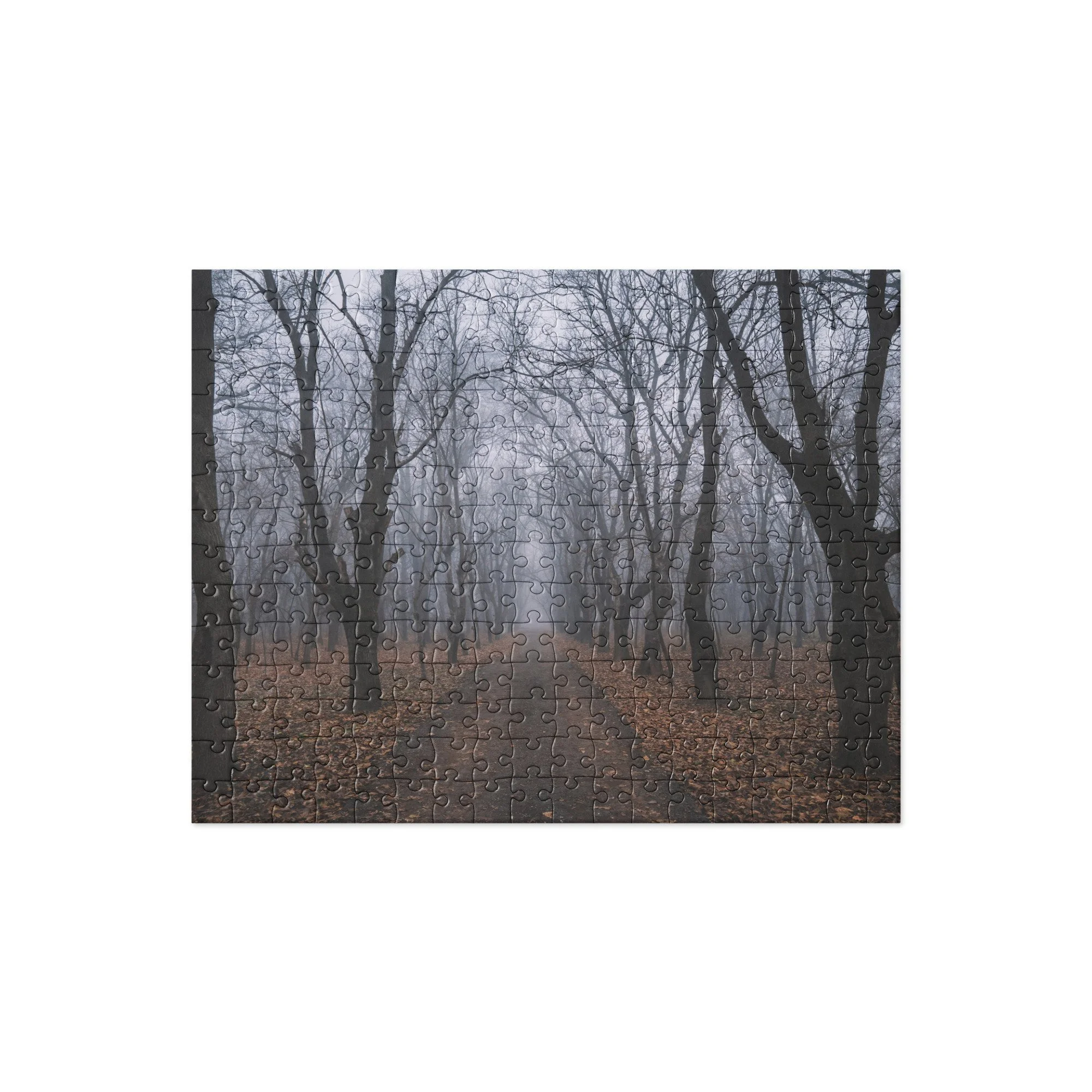 Jigsaw Puzzle