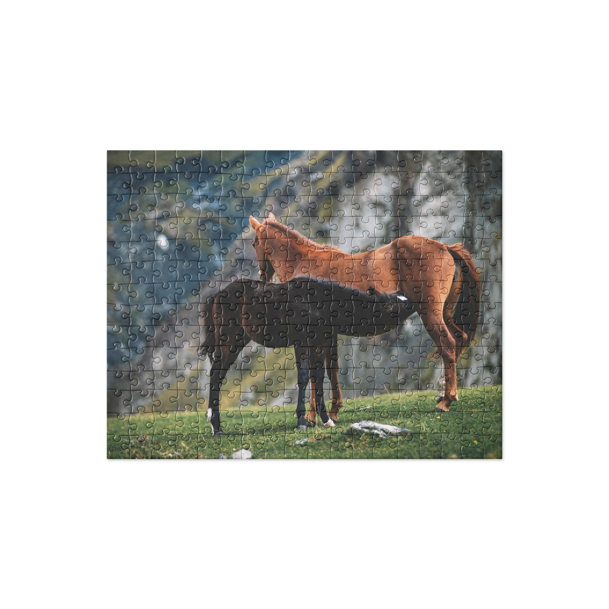 Jigsaw Puzzle 252 Pieces