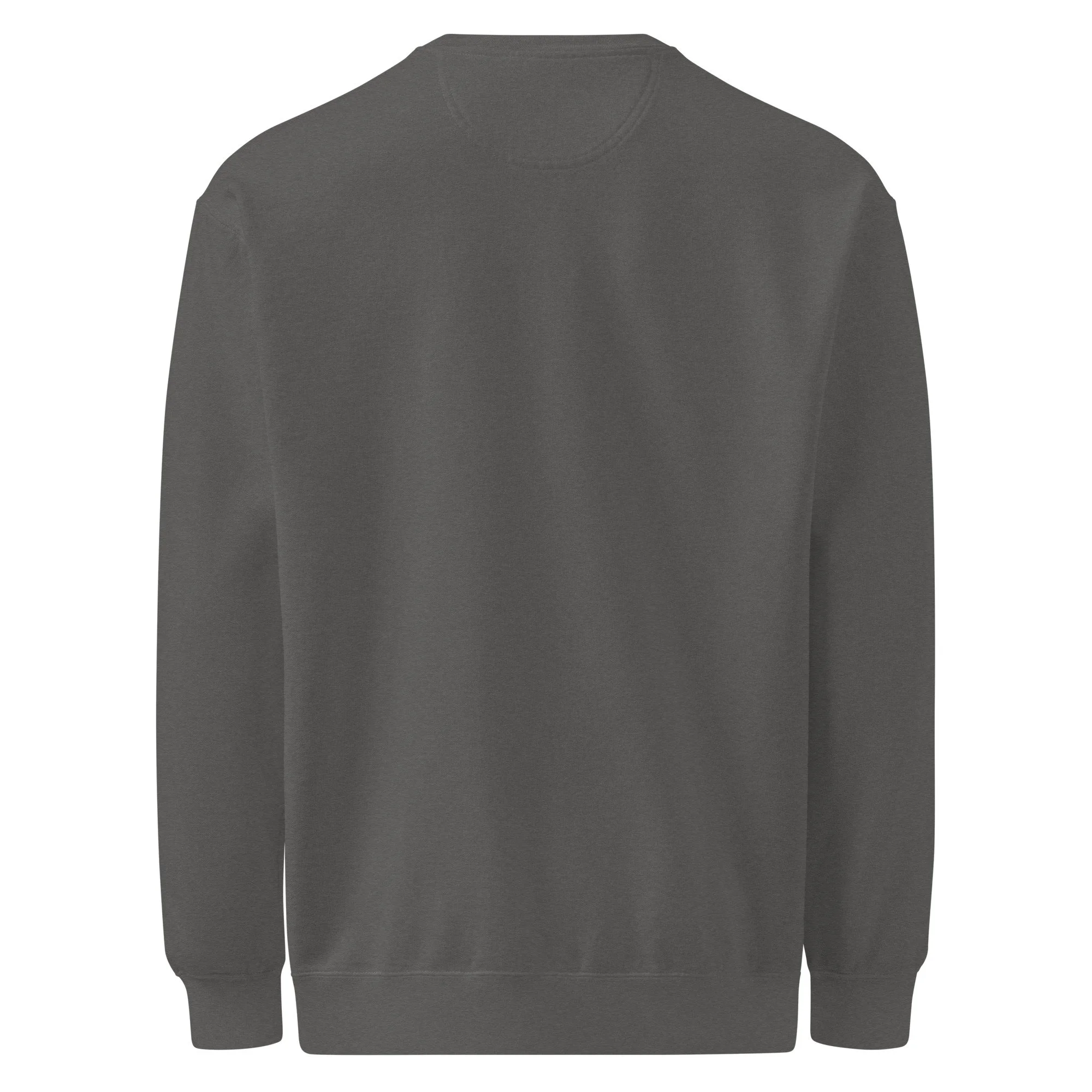 unisex-garment-dyed-sweatshirt-pepper-back-6add5a0d5d0a5.jpg