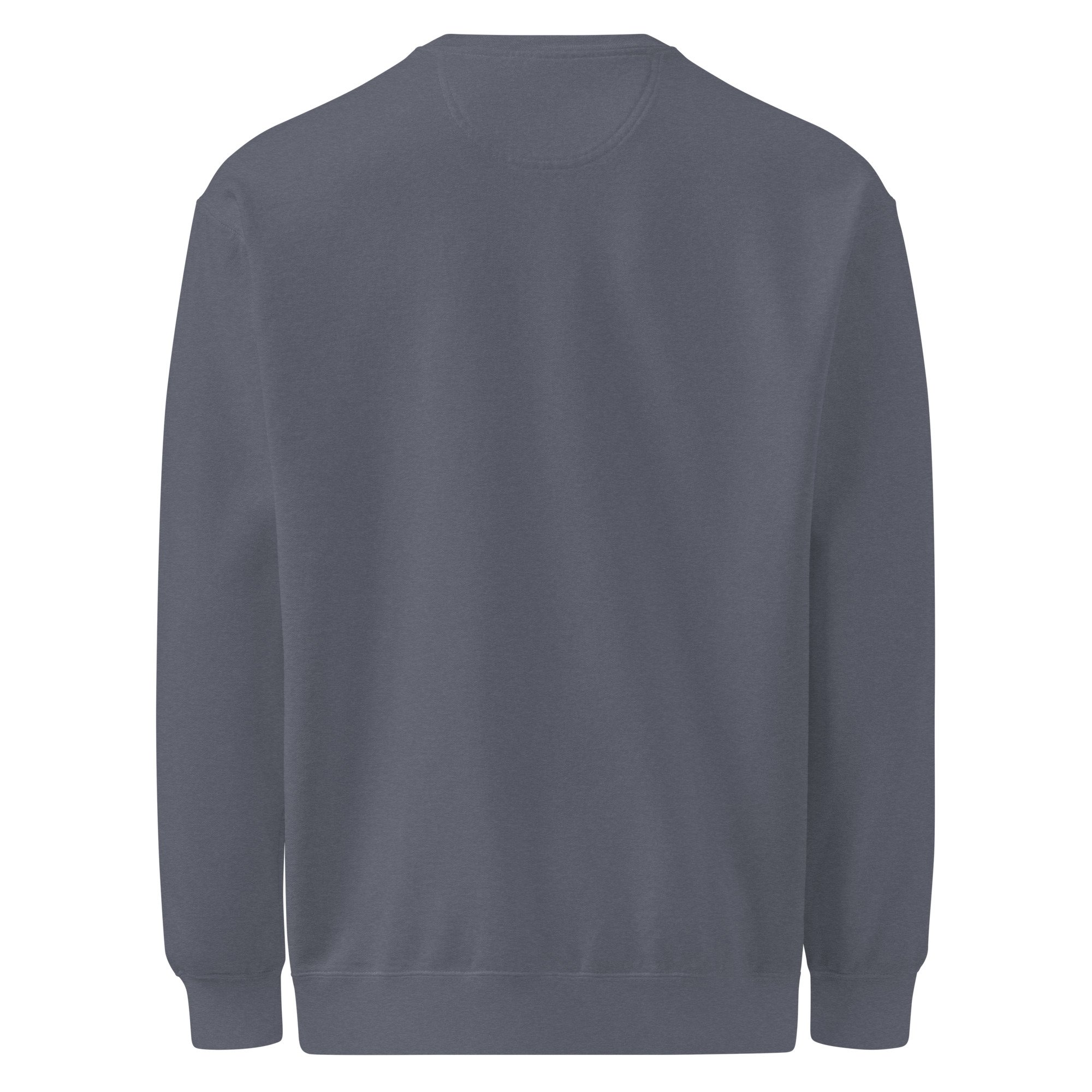unisex-garment-dyed-sweatshirt-denim-back-6add5a0d5db72.jpg