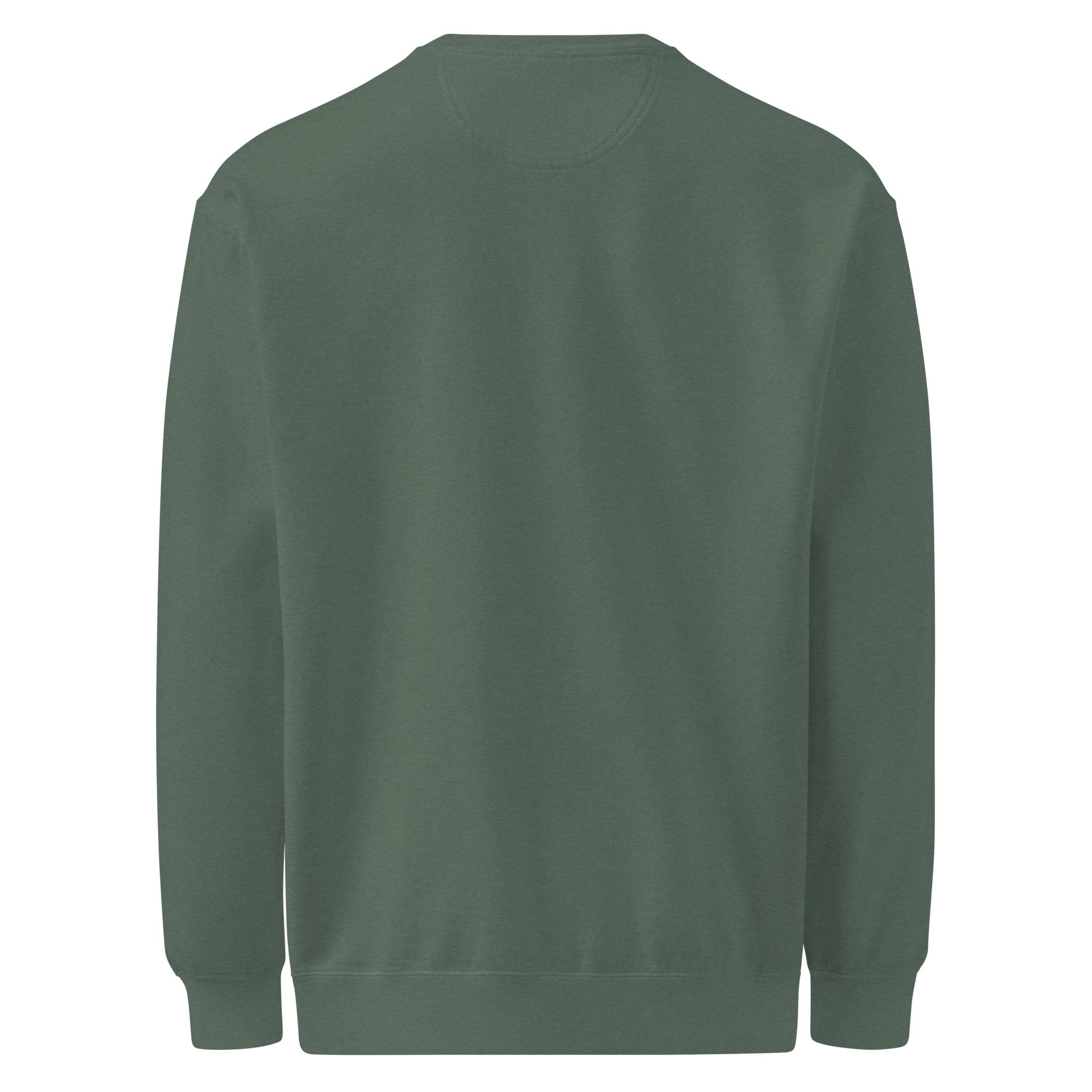 unisex-garment-dyed-sweatshirt-blue-spruce-back-6add5a0d5ea2e.jpg