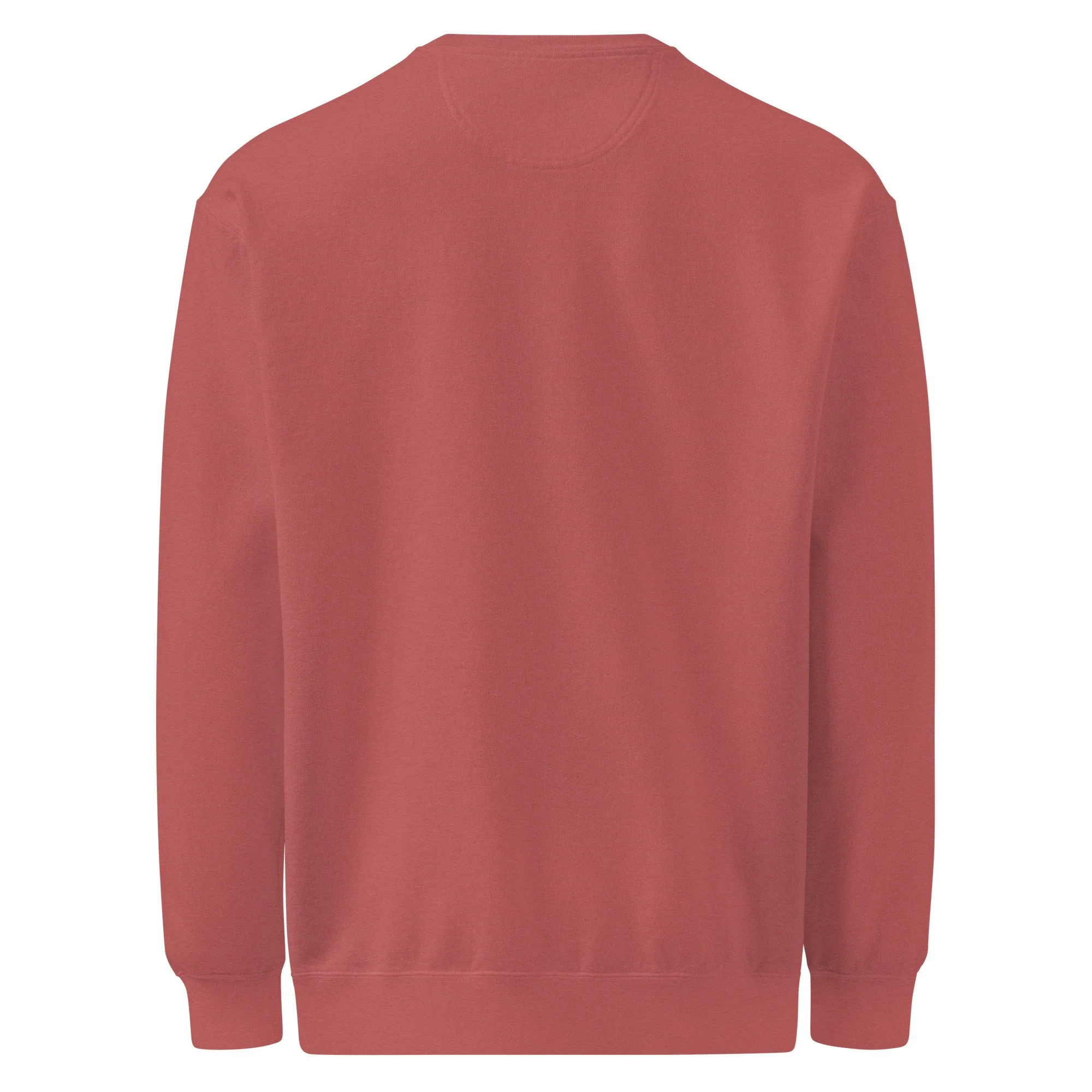 unisex-garment-dyed-sweatshirt-crimson-back-6add5a0d5faee.jpg