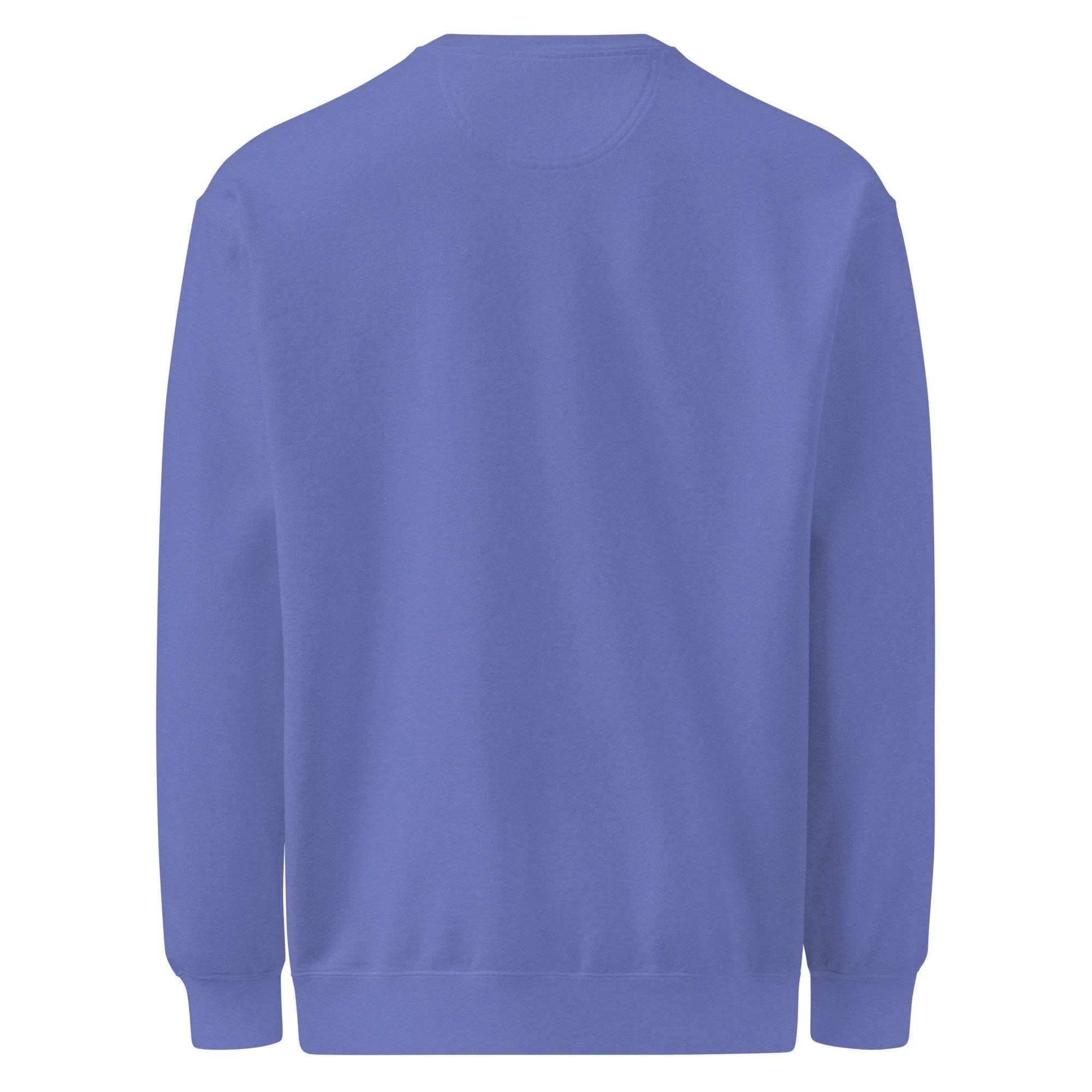 unisex-garment-dyed-sweatshirt-flo-blue-back-6add5a0d60a5b.jpg