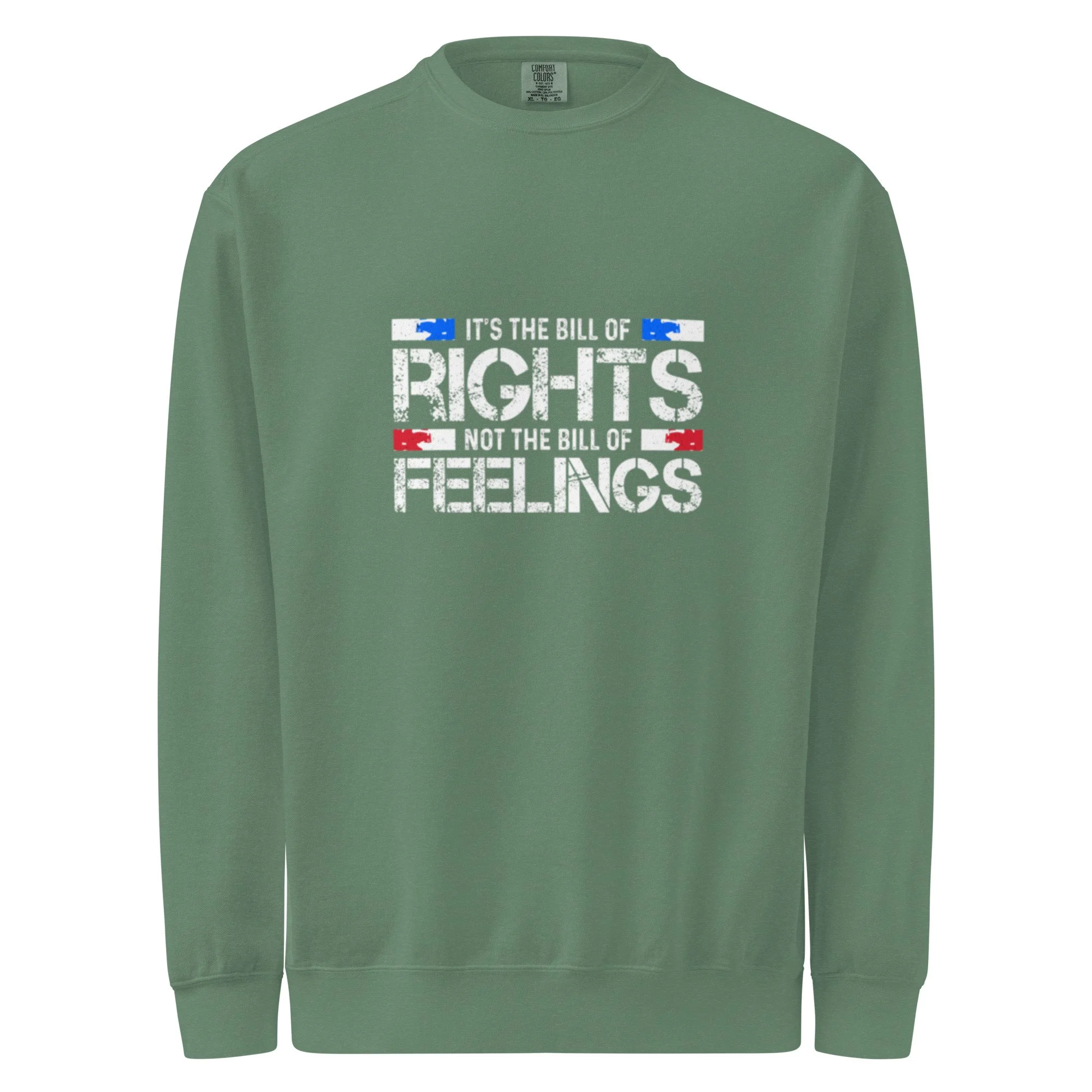 unisex-garment-dyed-sweatshirt-light-green-front-6add5a0d613ba.jpg