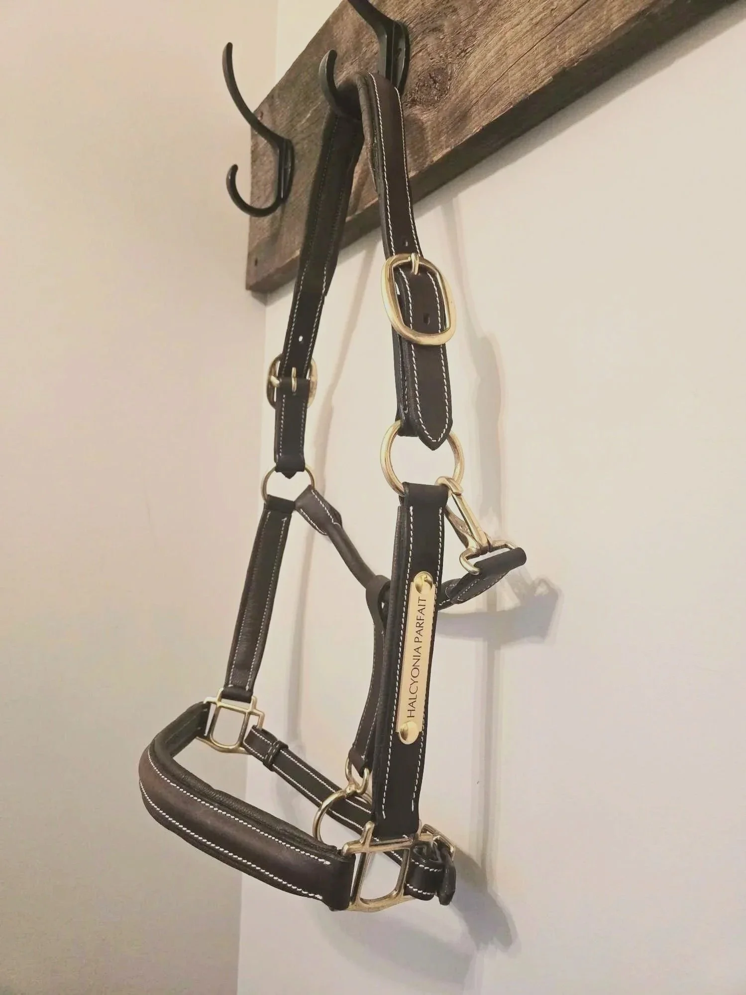 Bromont Raised and Padded Leather Halter WITH Engraved Plate