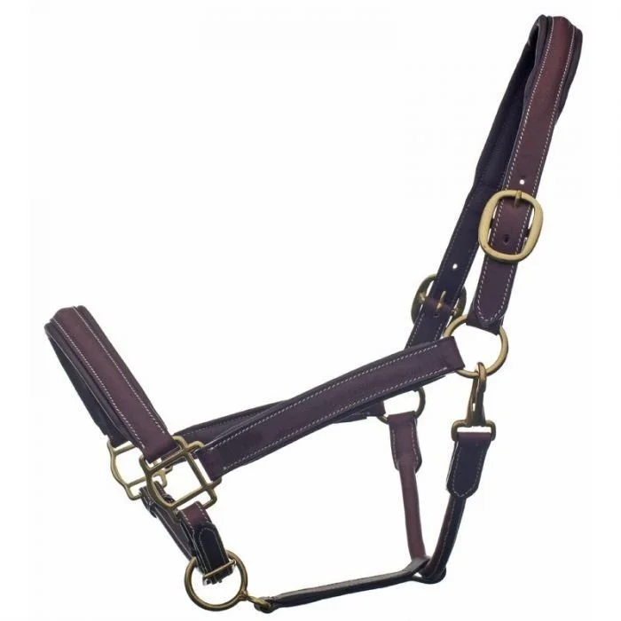 Raised Padded Halter- 1235.jpg