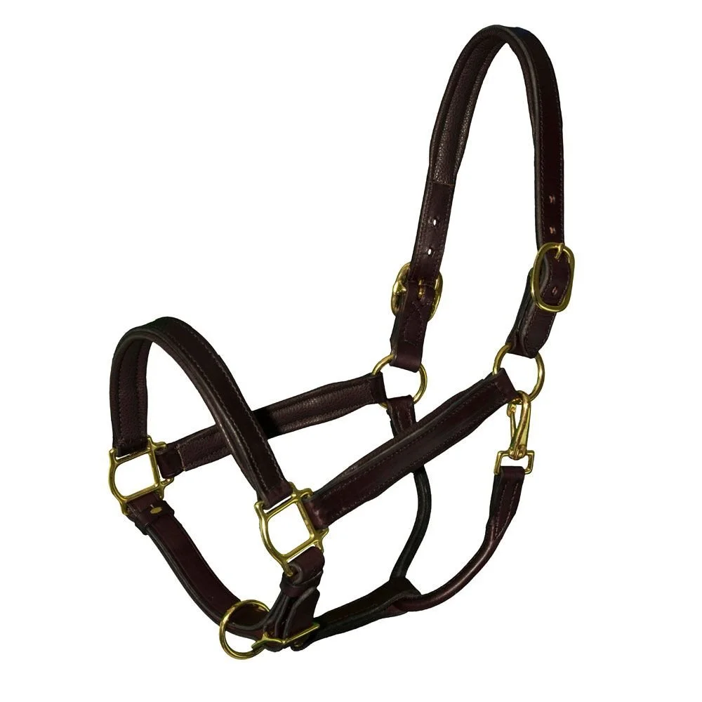 Leather Foal Halter- 1984.jpg