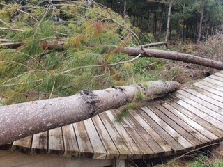 logging update 2.jpg