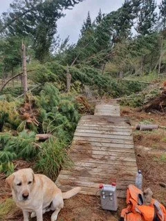 logging update 4.jpg