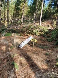 logging update 9.jpg