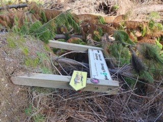 logging update 10.jpg