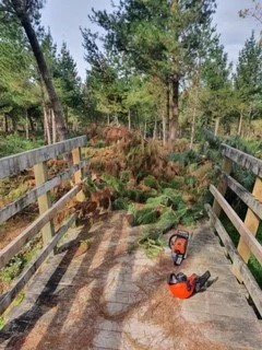 logging update 13.jpg