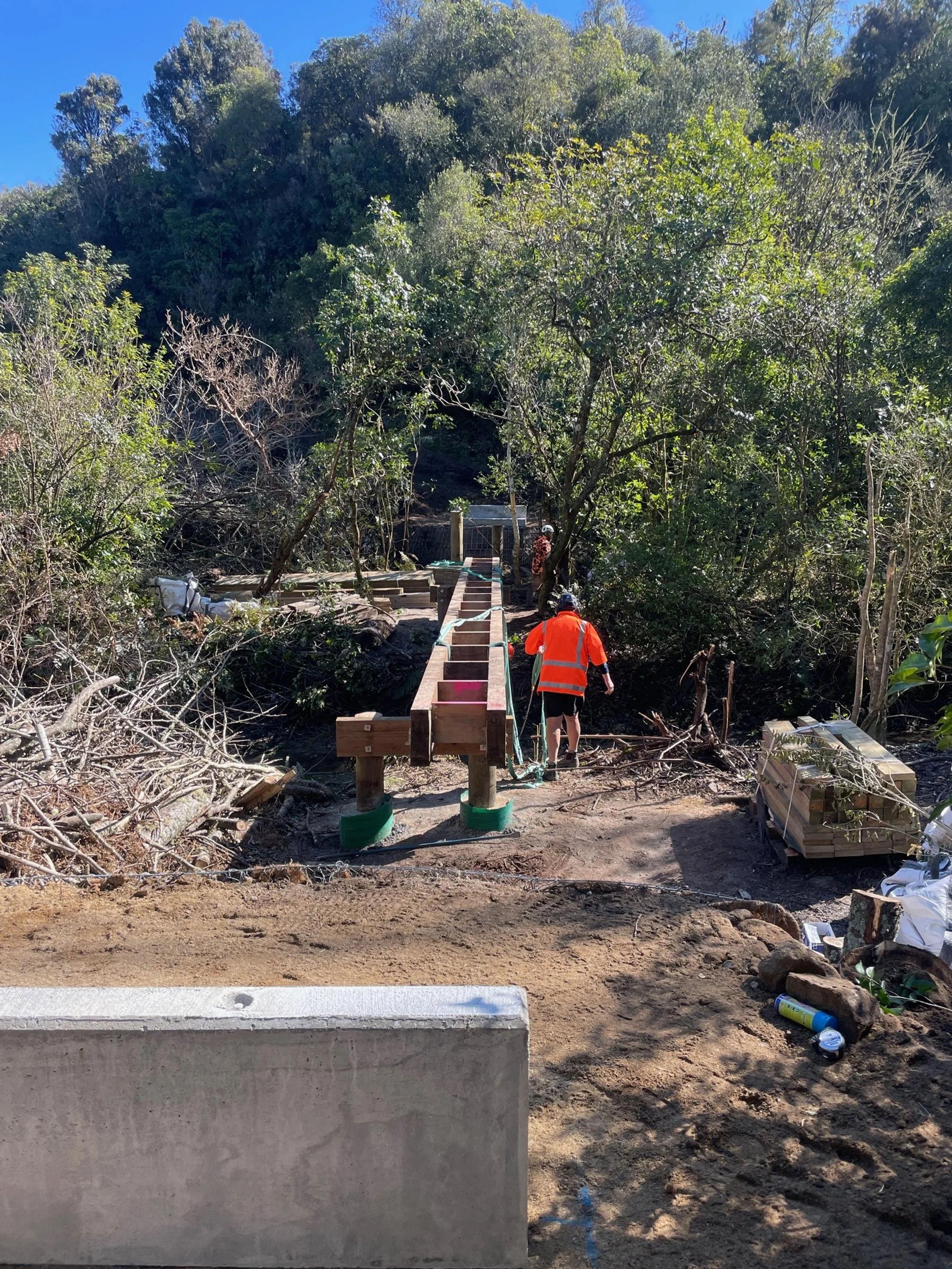 Bridge move 2.JPG