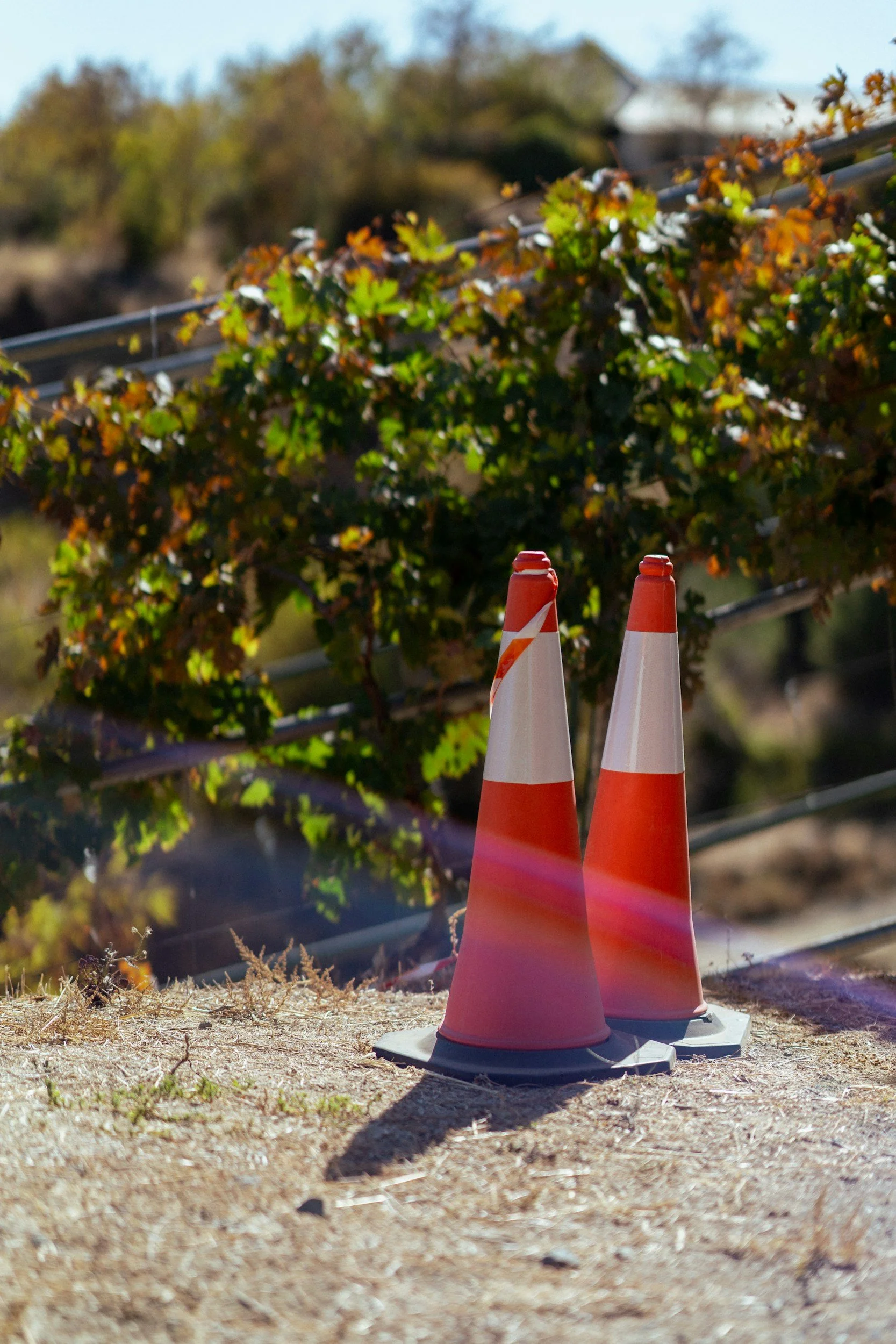 Health &amp; Safety Recommendations