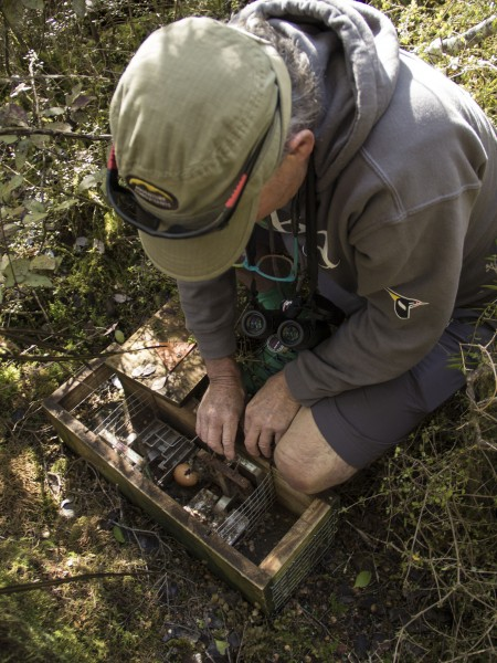 Tips and tricks for trapping