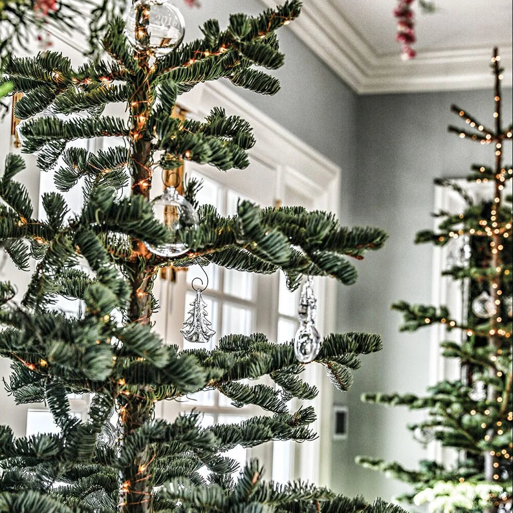 Christmas Tree Lots Scottsdale 2022 Wagner Christmas Trees